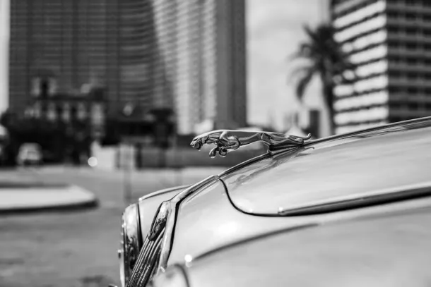 Casino Extra Android/iOS-app